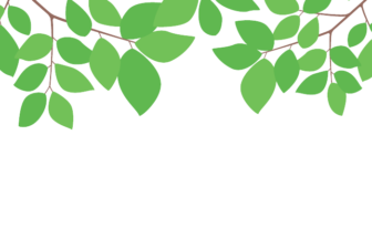 上部装飾枠（緑装飾）