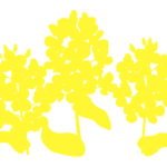 シルエットデザイン（ナノハナ）