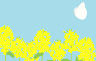 七十二候の菜虫化蝶（ハノハナとモンシロチョウ）