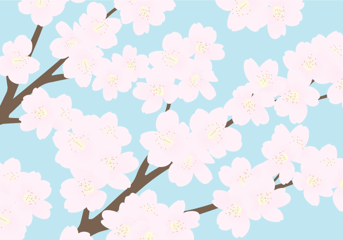 七十二候の桜始開