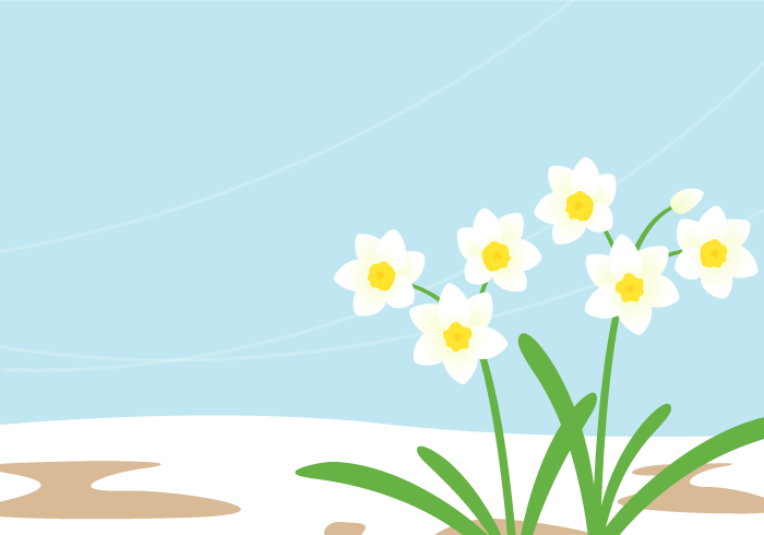 七十二候の東風解凍（スイセン）