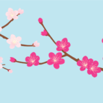 二十四節気の立春（ウメ）