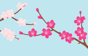 二十四節気の立春（ウメ）