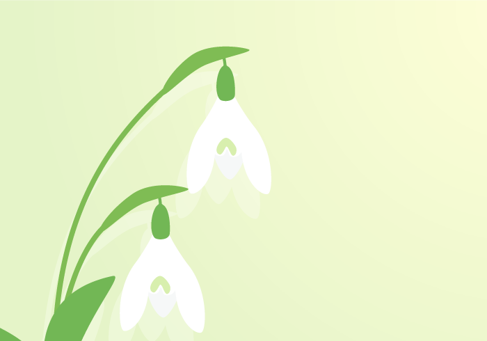 二十四節気の立春（スノードロップ）