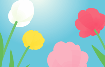 二十四節気の清明（チューリップ）