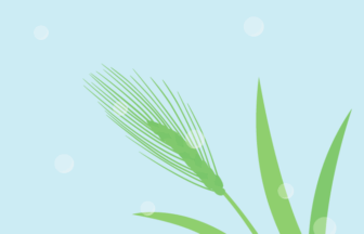 二十四節気の穀雨（ムギ）