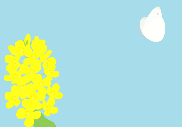 七十二候の蟄虫啓戸（ナノハナとモンシロチョウ）