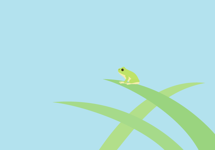 二十四節気の啓蟄（カエル）