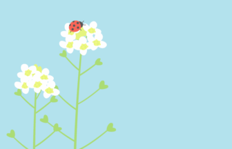 二十四節気の啓蟄（ナズナとナナホシテントウ）