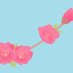 七十二候の桃始笑（モモの花）