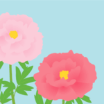 七十二候の牡丹華（ピンク色のボタン）