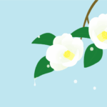 二十四節気の雨水（ツバキ）