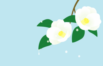 二十四節気の雨水（ツバキ）