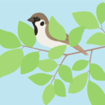 七十二候の雀始巣（スズメ）