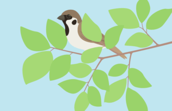 七十二候の雀始巣（スズメ）