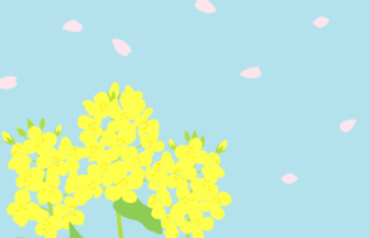 二十四節気の春分（ナノハナ）