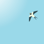 七十二候の玄鳥至（ツバメ）