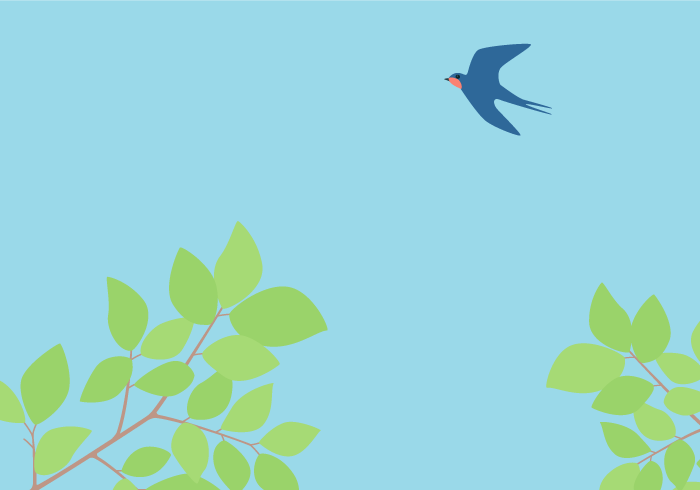 七十二候の玄鳥至（ツバメ）