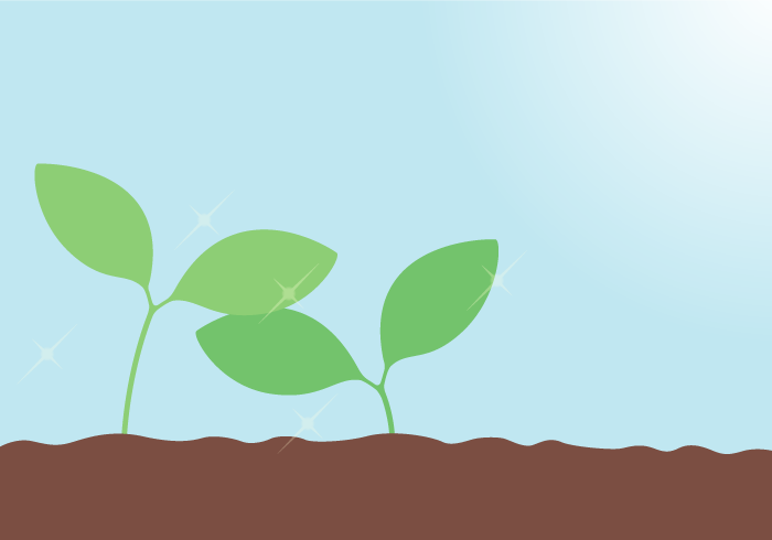 七十二候の土脉潤起（双葉）