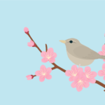 七十二候の黄鶯睍睆（ウメとウグイス）