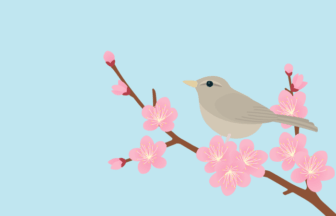 七十二候の黄鶯睍睆（ウメとウグイス）