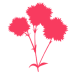 シルエットデザイン（ナデシコ）