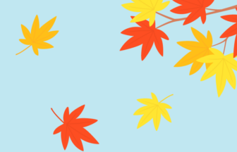 
カエデ（楓）の風景（秋の紅葉）
