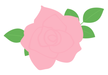 ピンク色のバラ（薔薇）