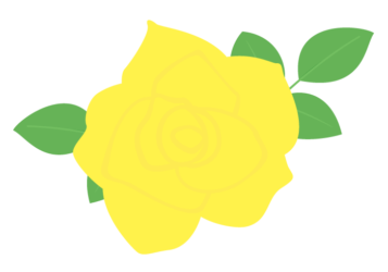 黄色のバラ（薔薇）