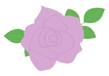 紫色のバラ（薔薇）