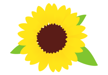 ヒマワリ(向日葵) ヒマワリ(向日葵)