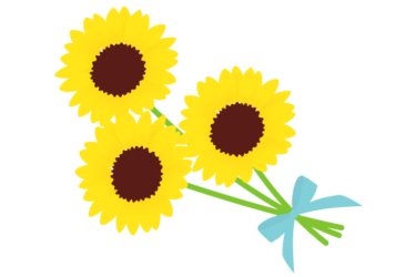 ヒマワリ(向日葵) ヒマワリ(向日葵)