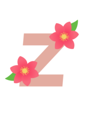 アルファベット「z」