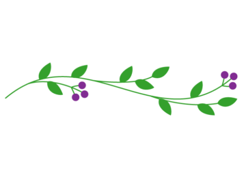 植物の飾り罫線