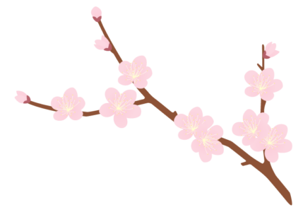 ウメ 梅 の花 かわいい無料のフリーイラスト素材集 ウメ 梅 の花 かわいい無料のフリーイラスト素材集