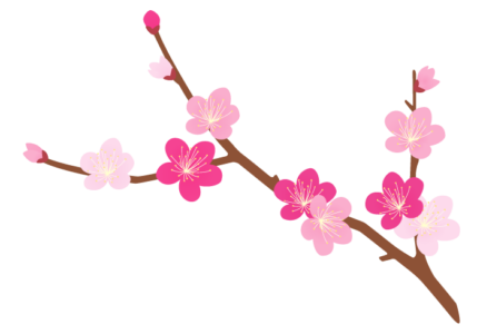 ウメ 梅 の花 かわいい無料のフリーイラスト素材集 ウメ 梅 の花 かわいい無料のフリーイラスト素材集