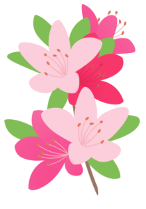 ツツジ 躑躅 の花 かわいい無料のフリーイラスト素材集