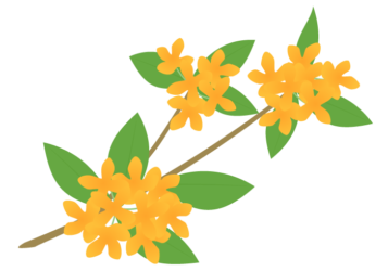キンモクセイ（金木犀）の花～無料のフリーイラスト素材集