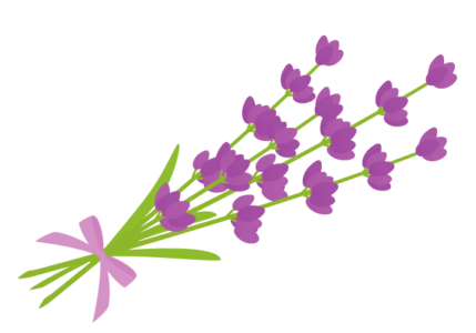 ラベンダーの花 かわいい無料のフリーイラスト素材集