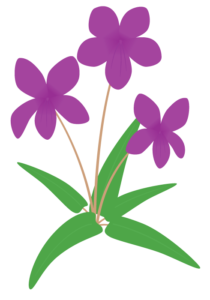 スミレ 菫 の花 かわいい無料のフリーイラスト素材集