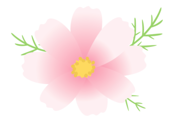コスモス 秋桜 の花 かわいい無料のフリーイラスト素材集