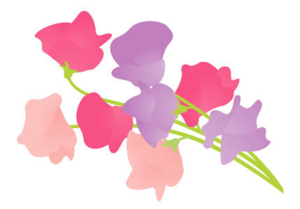スイートピーの花～かわいい無料のフリーイラスト素材集