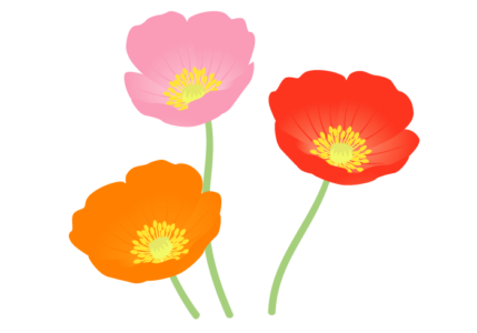 ポピーの花 美しい無料のフリーイラスト素材集