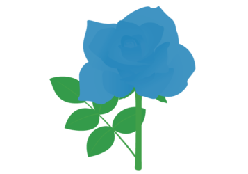 青いバラ（薔薇）