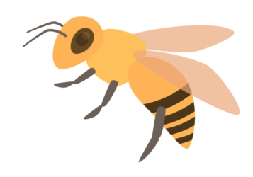 ミツバチ（蜜蜂）
