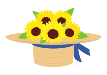 ヒマワリ(向日葵) ヒマワリ(向日葵)