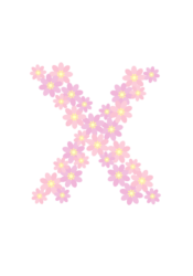 アルファベット「x」