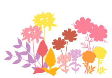 花壇（秋の花）