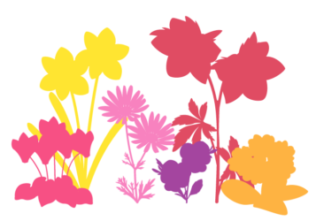 花壇（冬の花）