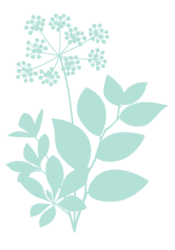 植物シルエット（花とグリーン）
